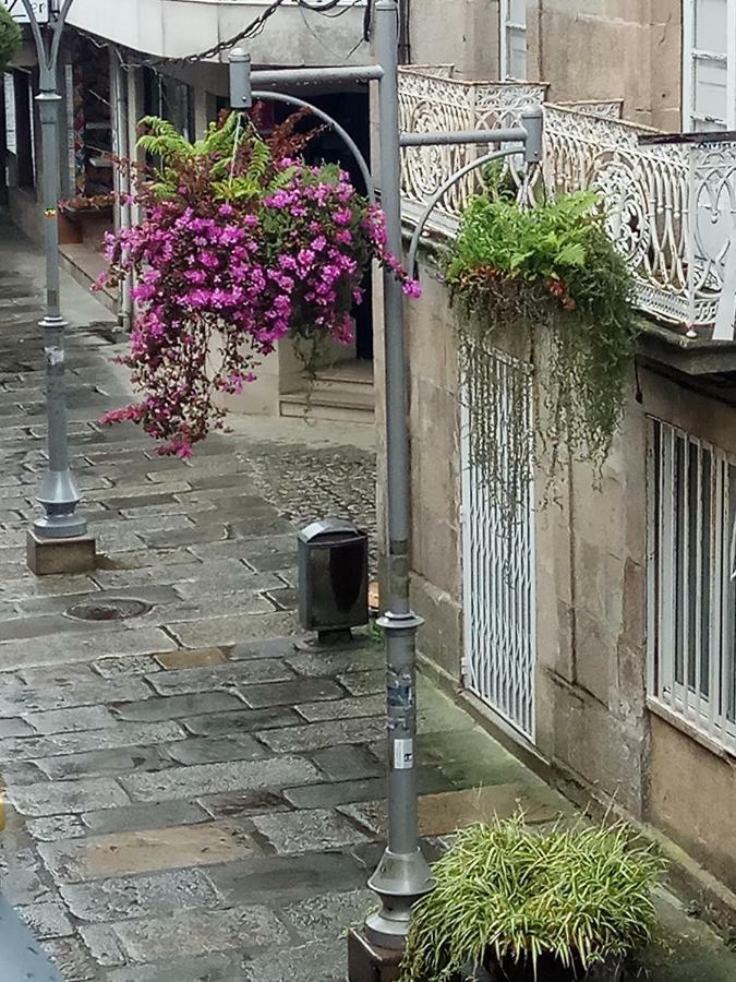 Apartment Garden Кальдас-де-Рейес Экстерьер фото